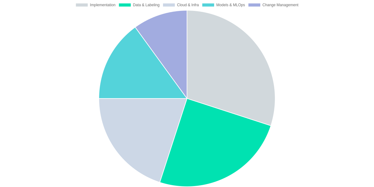 Cost allocation for a typical AI project (3-year budget)
